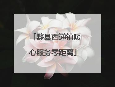 黟县西递镇暖心服务零距离