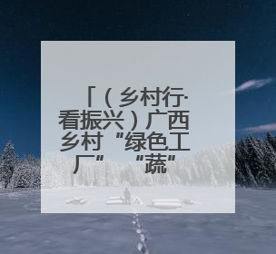 （乡村行·看振兴）广西乡村“绿色工厂” “蔬”写致富新答卷