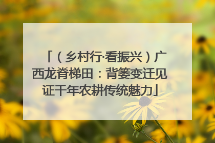 （乡村行·看振兴）广西龙脊梯田：背篓变迁见证千年农耕传统魅力