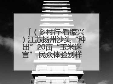（乡村行·看振兴）江苏扬州沙头“种出”20亩“玉米迷宫” 民众体验别样“田园乐趣”