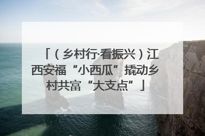 （乡村行·看振兴）江西安福“小西瓜”撬动乡村共富“大支点”