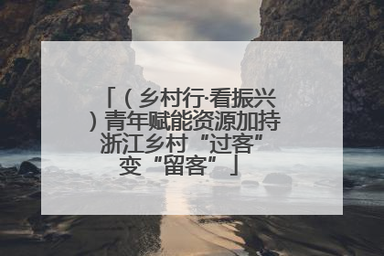 （乡村行·看振兴）青年赋能资源加持 浙江乡村“过客”变“留客”