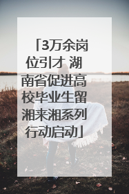 3万余岗位引才 湖南省促进高校毕业生留湘来湘系列行动启动