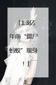 1.3亿年前“僵尸蚂蚁”现身！