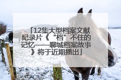 12集大型档案文献纪录片《“档”不住的记忆——聊城档案故事》将于近期播出