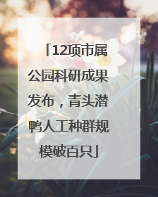 12项市属公园科研成果发布，青头潜鸭人工种群规模破百只