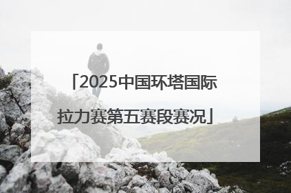 2025中国环塔国际拉力赛第五赛段赛况