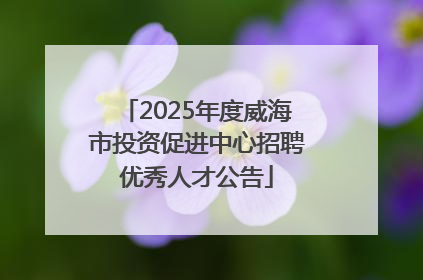 2025年度威海市投资促进中心招聘优秀人才公告