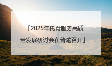 2025年托育服务高质量发展研讨会在普陀召开