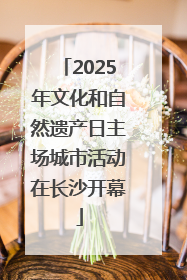 2025年文化和自然遗产日主场城市活动在长沙开幕