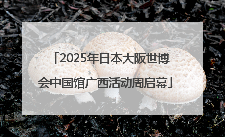 2025年日本大阪世博会中国馆广西活动周启幕