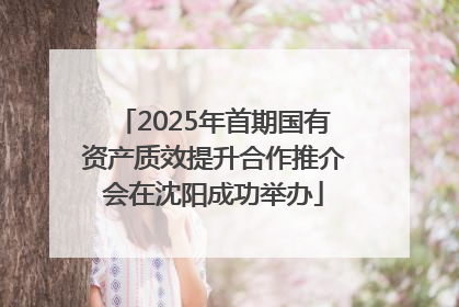 2025年首期国有资产质效提升合作推介会在沈阳成功举办
