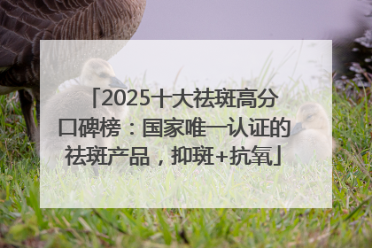 2025十大祛斑高分口碑榜：国家唯一认证的祛斑产品，抑斑+抗氧