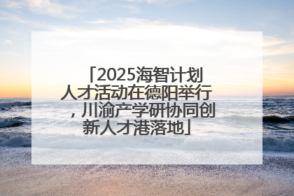 2025海智计划人才活动在德阳举行，川渝产学研协同创新人才港落地