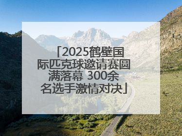 2025鹤壁国际匹克球邀请赛圆满落幕 300余名选手激情对决
