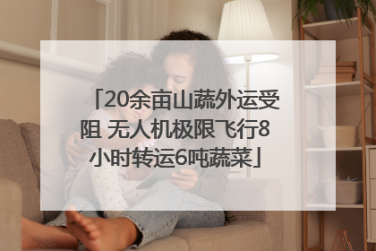 20余亩山蔬外运受阻 无人机极限飞行8小时转运6吨蔬菜