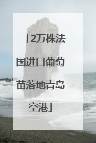 2万株法国进口葡萄苗落地青岛空港