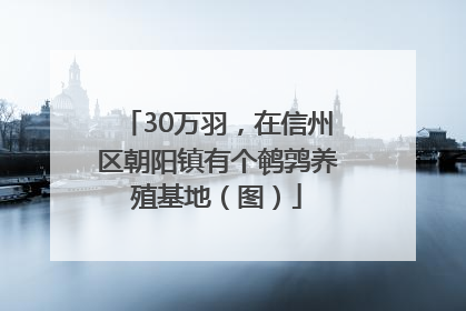 30万羽，在信州区朝阳镇有个鹌鹑养殖基地（图）