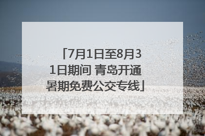 7月1日至8月31日期间 青岛开通暑期免费公交专线