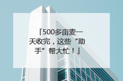 500多亩麦一天收完，这些“助手”帮大忙！