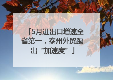 5月进出口增速全省第一，泰州外贸跑出“加速度”