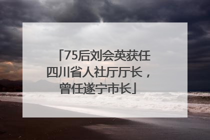 75后刘会英获任四川省人社厅厅长，曾任遂宁市长