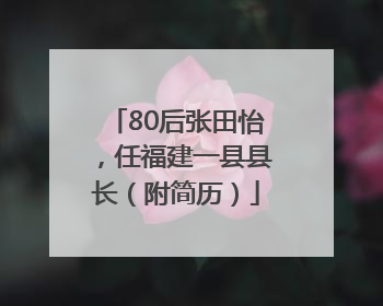 80后张田怡，任福建一县县长（附简历）