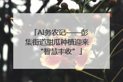 AI务农记——彭集街道甜瓜种植迎来“智慧丰收”